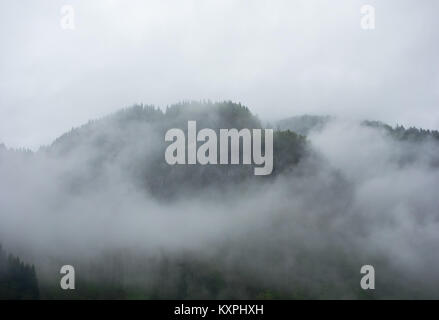 Dichter Nebel und Wolken bewaldeten Berg in Norwegen. Stockfoto