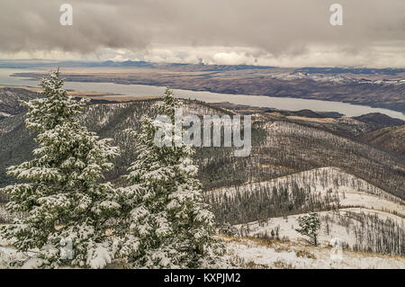 Zwei Evergreens mit Blick auf die Verwüstung, die von einem Wald Feuer in den Bergen links Stockfoto