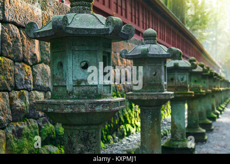 Steinlaternen auf der Seite der Toshogu Schrein, Futarasan Schrein in Nikko, Tochigi, Japan NIKKO, Japan - 17. NOVEMBER 2015 Leitung: Steinlaternen Stockfoto