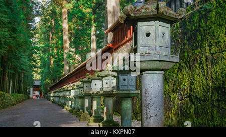 Steinlaternen auf der Seite der Toshogu Schrein, Futarasan Schrein in Nikko, Tochigi, Japan NIKKO, Japan - 17. NOVEMBER 2015 Leitung: Steinlaternen Stockfoto