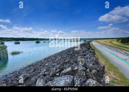 Frankreich, Aube (10), Champagner, Parc naturel régional de la Forêt d'Orient, Lac du Temple // Frankreich, Calvados, Champagner, Orient Wald regionale natürliche Gleichheit Stockfoto