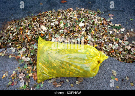 Reinigung der Straßen im Herbst, Gelbe Müllsäcke mit Laub gefüllt Stockfoto