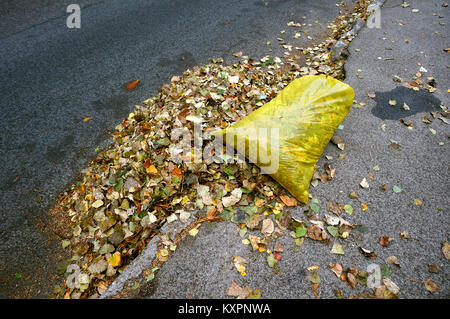 Reinigung der Straßen im Herbst, Gelbe Müllsäcke mit Laub gefüllt Stockfoto