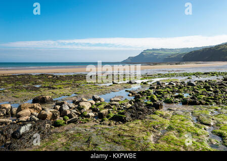 Sonnigen September Morgen bei Robin Hood's Bay an der Ostküste von North Yorkshire. Blick auf Ravenscar bei Ebbe. Stockfoto