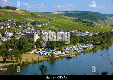 Dorf und Marina an der Mosel, Neumagen-Dhron, ältesten Weinort Deutschlands, Rheinland-Pfalz, Deutschland, Europa Stockfoto