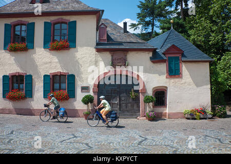 Radfahrer bestehen Der einzellage "Klaus Krebs' in Neumagen, Mosel, Rheinland-Pfalz, Deutschland, Europa Stockfoto