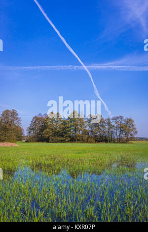 Die überfluteten Wiesen in Granica, ein kleines Dorf am Rande des Kampinoski Wald, große Wälder komplex in der Woiwodschaft Masowien in Polen Stockfoto