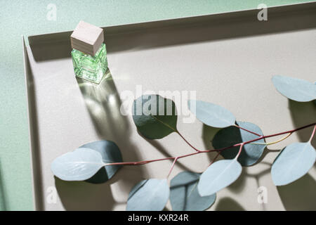 Eukalyptus Zweig auf dem Metall beige Unterstützung auf dem grünen Tisch drinnen. Daneben gibt es ein Glas grün jar mit einem hölzernen Decken. Licht durch Stockfoto
