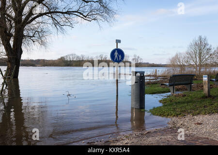 Hoher Wasserstand an der Maas mit überfluteten Flussauen, Pfad und ertrank Bäume in Arcen, Niederlande Stockfoto