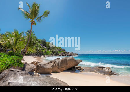 Seychellen Strand mit Palmen und schöne Steine. Stockfoto