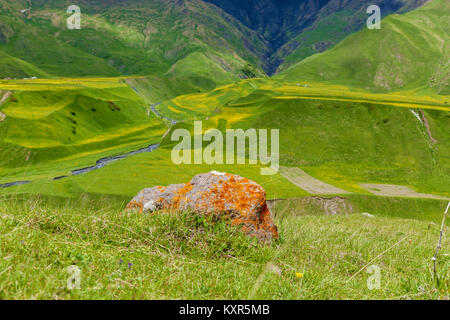 Stein mit orange Moos auf einem Hintergrund von grünen Bergen. Stein mit orange Moss. Reise nach Georgien Stockfoto