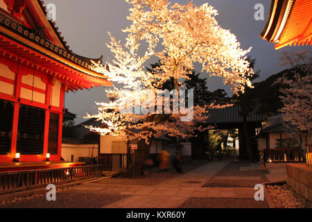 Ein buddhistischer Tempel (Kiyomizu-dera) in Kyoto (Japan). Stockfoto