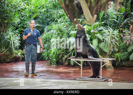 Singapur - Oktober 16, 2014: Splash Safari zeigen in Singapur Zoo. Stockfoto