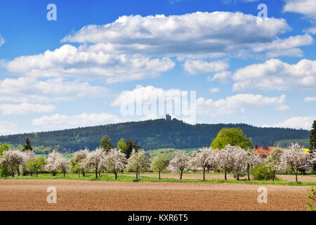 Ruinen von radyne Schloss, Stary Plzenec, in der Nähe von Pilsen in den Frühling Landschaft, Tschechische Republik Stockfoto