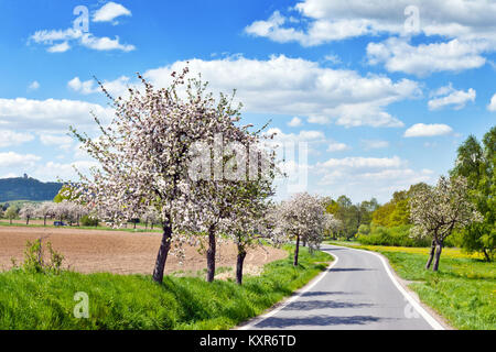 Ruinen von radyne Schloss, Stary Plzenec, in der Nähe von Pilsen in den Frühling Landschaft, Tschechische Republik Stockfoto