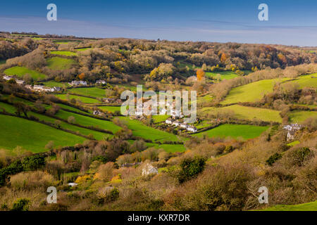 Herbst in den Wäldern in der Umgebung des malerischen Branscombe Dorf in der Nähe der Jurassic Coast, Devon, England, Großbritannien Stockfoto