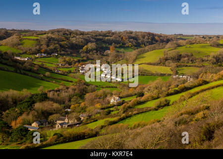 Herbst in den Wäldern in der Umgebung des malerischen Branscombe Dorf in der Nähe der Jurassic Coast, Devon, England, Großbritannien Stockfoto