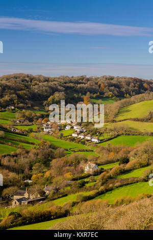 Herbst in den Wäldern in der Umgebung des malerischen Branscombe Dorf in der Nähe der Jurassic Coast, Devon, England, Großbritannien Stockfoto