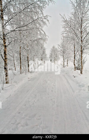 Eine schmale Straße führt durch die verschneite Birken in den ländlichen Finnland. Der Frost hat die Zweige und die Straße zu fallen. Stockfoto