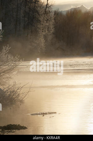 Winter Chilkat River im Sonnenaufgang. Alaska. USA Stockfoto