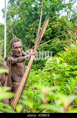 Korowai Stamm. Papua Pfeile aus einem Bogen. Natürlichen grünen Dschungel Hintergrund. Juni 24, 2012 in der Nähe von onni Dorf, Neuguinea, Indonesien Stockfoto