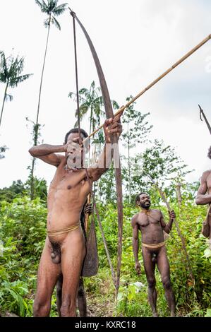 Korowai Stamm. Papua Pfeile aus einem Bogen. Natürlichen grünen Dschungel Hintergrund. Juni 24, 2012 in der Nähe von onni Dorf, Neuguinea, Indonesien Stockfoto