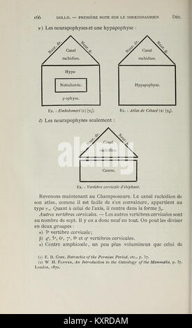 Eine Ausgabe des Bulletins des Königlichen Naturkundemuseums Belgiens mit wissenschaftlichen Berichten und Forschungen in den Bereichen Zoologie, Botanik, Geologie und Naturwissenschaften. Stockfoto