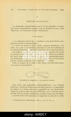 Bulletin des Königlichen Naturkundemuseums Belgiens, das Forschungen zur Naturgeschichte veröffentlicht, die Biodiversität, Geologie, Paläontologie und wissenschaftliche Erkenntnisse dokumentieren. Stockfoto