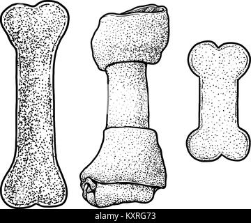 Hund Kauknochen Abbildung, Zeichnung, Gravur, Tinte, Strichzeichnungen, Vektor Stock Vektor