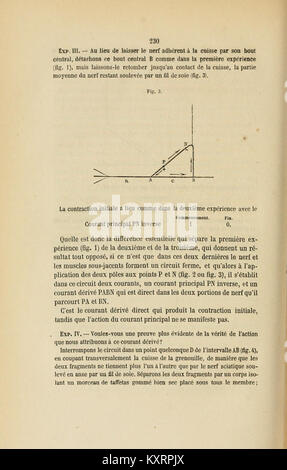 Comptes Rendus de Séancen de la Société de Biologie et de ses filiales (Seite 230) BHL 4127269 Stockfoto