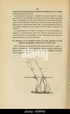 Comptes Rendus de Séancen de la Société de Biologie et de ses filiales (Seite 234) BHL 4127273 Stockfoto