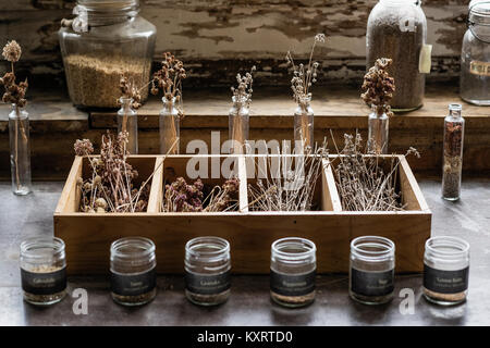 Getrocknete Kräuter und Blumen, Canterbury Shaker Village, New Hampshire, USA. Stockfoto