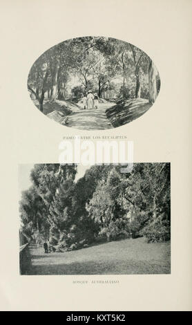 El Jardín Botánico de Buenos Aires BHL 16635416 Stockfoto