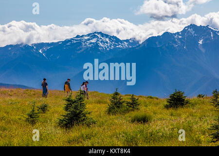 Blick vom Hurricane Ridge in Olympischen National Park Washington Stockfoto