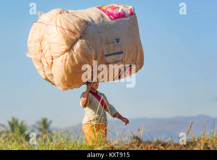 Frau, die große Last auf ihren Kopf und Fuß in einem Feld, Inle, Myanmar Stockfoto