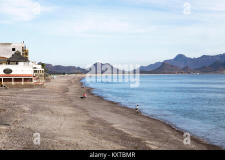 Lange weite von Playa San Francisco in San Carlos Mexico mit Menschen zu Fuß Hunde oder der Sammlung von Muscheln alle entlang der Wasserlinie in die Ferne Stockfoto