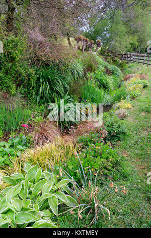 Kontrastierende Laub Farben und Formen in der üppigen Feder graben Pflanzen bei Sutton Mead Garten, Devon, Großbritannien Stockfoto