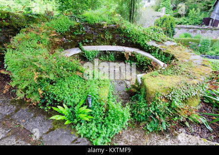 Moos, Farnen und Glockenblumen fallenden Stein Wand eine schattige kreisförmigen Sitzbereich im Garten Haus, Buckland Monachorum, Devon, UK Surround Stockfoto