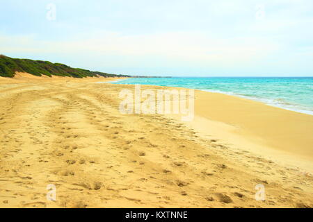 Sandstrand Punta Prosciutto, Apulien, Italien Stockfoto