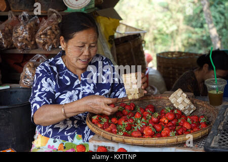 PYIN OO LWIN, MYANMAR - ca. April 2017 Frau mit Erdbeere Stockfoto