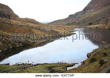 Ein kleiner See, hoch in den Bergen in der Nähe der Lücke von Dunloe in Kerry, Irland. Stockfoto