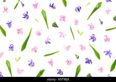 Florales Muster aus Hyazinthen Blumen, grünen Blätter, Bud auf weißem Hintergrund. Ansicht von oben. Muster der Blumen. Stockfoto