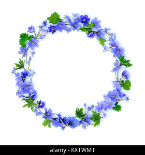 Kreis aus blauen Blumen auf weißem Hintergrund. Ansicht von oben. Rahmen der Blumen. Stockfoto