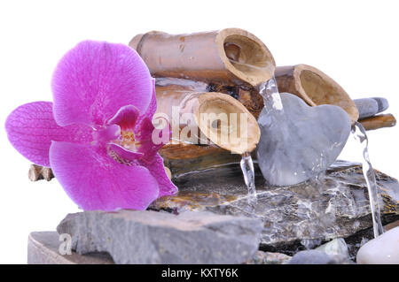 Orchidee auf einem kleinen Brunnen und Herzförmigen Kiesel auf weißem Hintergrund Stockfoto