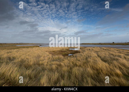 Kent's Wildlife Trust Oare Sümpfe Naturschutzgebiet am Swale Mündung am Oare, Faversham, Kent, Großbritannien. Stockfoto