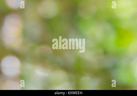 Abstrakt Grün defokussierten blured bokeh Hintergrund Stockfoto