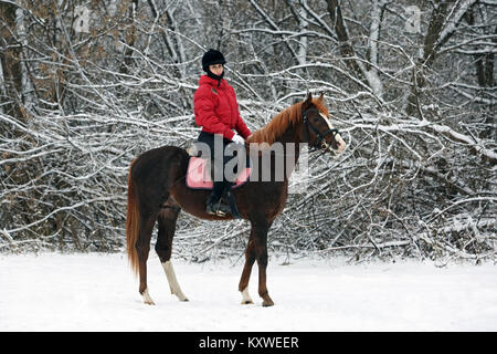 Pretty Woman reiten ihr Pferd durch Schnee an Weihnachten Morgen Stockfoto