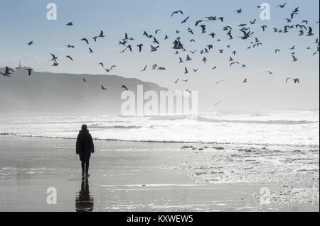 Person entlang eine deseted Strand mit Rammstein oben fliegen Stockfoto