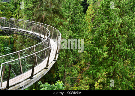 Capilano Cliff Spaziergang durch den Regenwald die beliebte hängenden Gehwegen ragt aus dem Granit Felsen 230 Meter über dem Capilano Rive Stockfoto