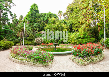 BATUMI, Georgien - 22. SEPTEMBER 2015: Der Botanische Garten in der Nähe von Batumi Batumi, Georgien. Stockfoto